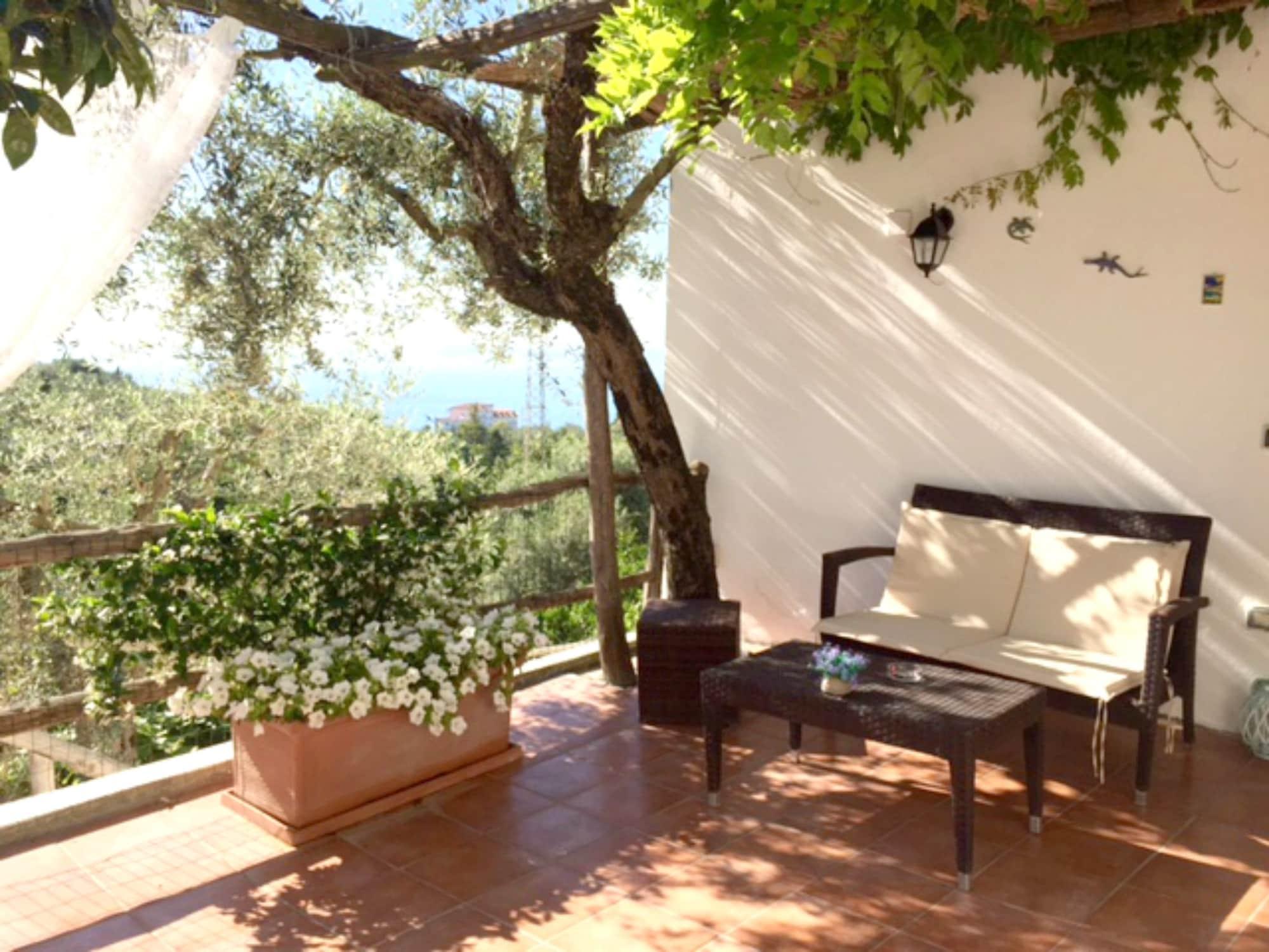 Villa Carolina Sorrento Private Heated Pool And Sea View Экстерьер фото